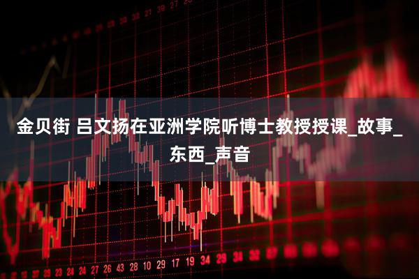 金贝街 吕文扬在亚洲学院听博士教授授课_故事_东西_声音