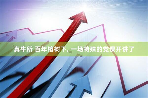 真牛所 百年榕树下, 一场特殊的党课开讲了