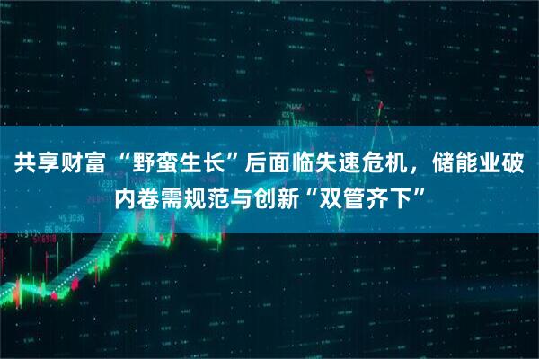 共享财富 “野蛮生长”后面临失速危机，储能业破内卷需规范与创新“双管齐下”