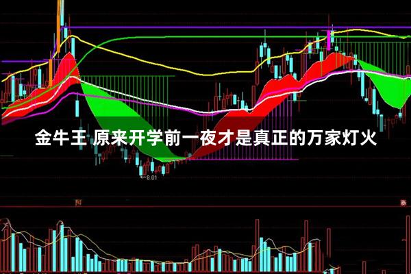 金牛王 原来开学前一夜才是真正的万家灯火
