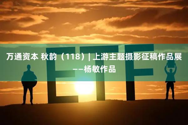 万通资本 秋韵（118）| 上游主题摄影征稿作品展——杨敏作品